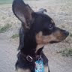 Meet your Posher, Eric